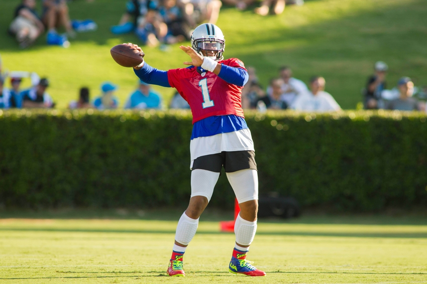 NFL: Carolina Panthers-Training Camp